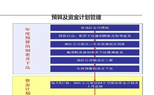 龍湖企業(yè)管理與運(yùn)營(yíng)的精細(xì)化管理策略
